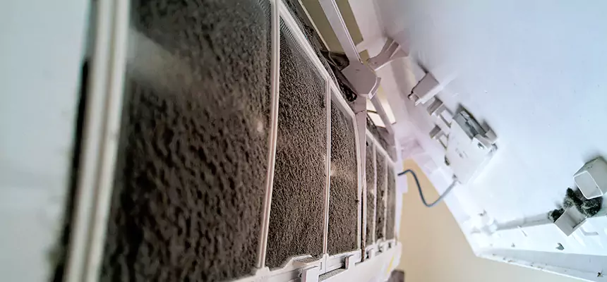 Preventive Air Duct Bacteria Removal in Kingsville