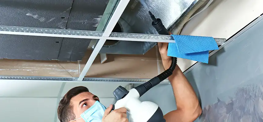 Our Air Duct Rodent Removal Services in Kingsville, TX