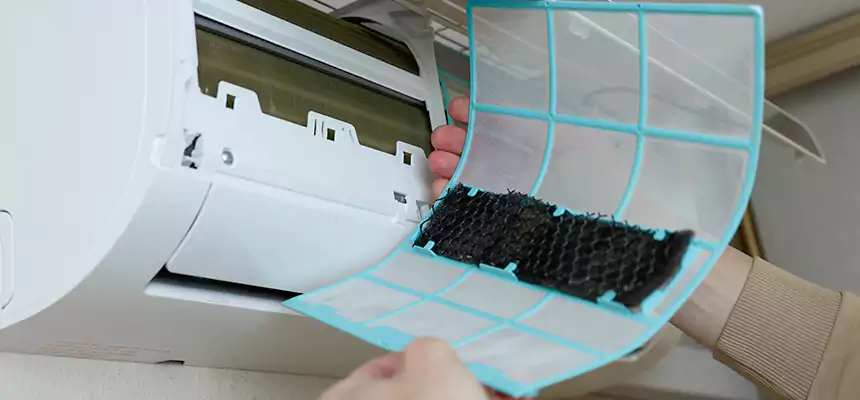 Gentle Ductwork Odor-Control Pet Dander Duct Cleaning in Kingsville, TX