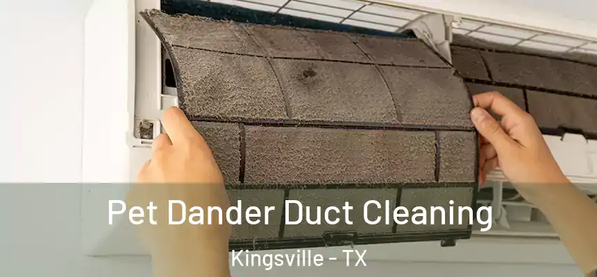  Pet Dander Duct Cleaning Kingsville - TX