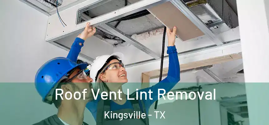  Roof Vent Lint Removal Kingsville - TX