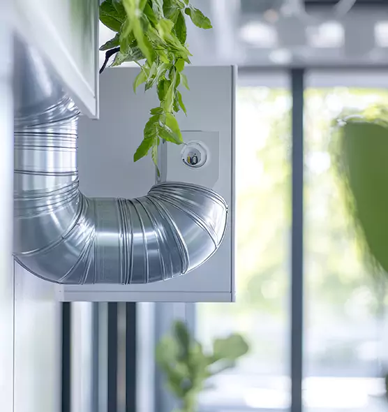 Professional Eco-Friendly Duct Cleaning Services in Kingsville, TX