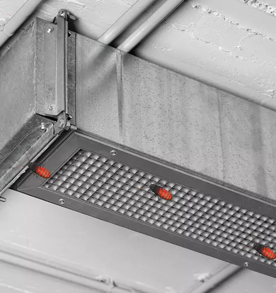 Affordable Insect Removal from Air Ducts in Kingsville, TX