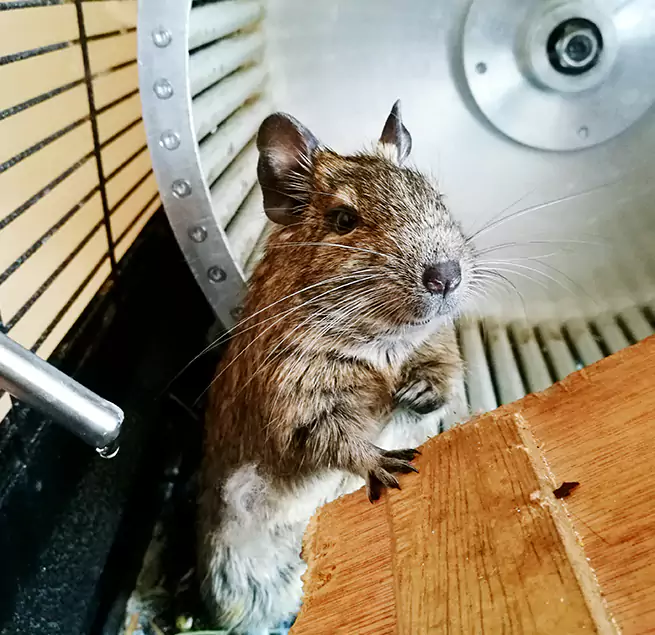 Why Homeowners & Businesses Trust Us Kingsville, TX